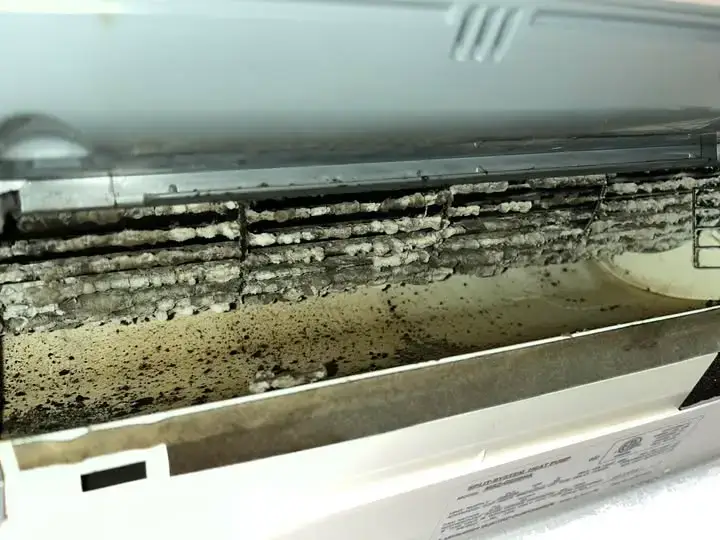 Moldy heat pump unit in Corinth ME that needs professional cleaning